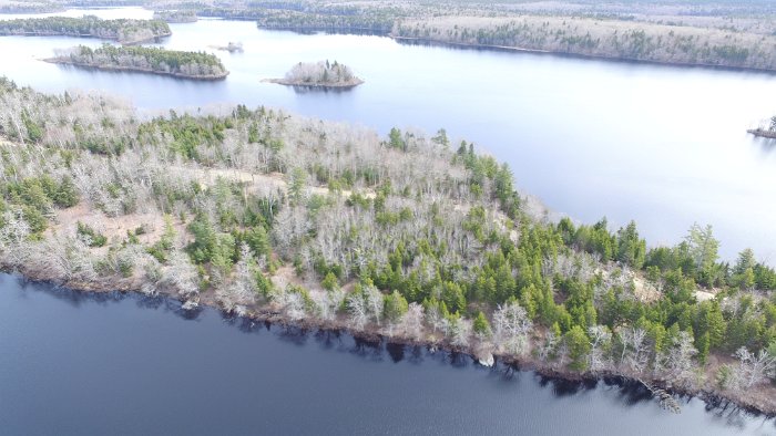 WentworthHalbinsel (55)